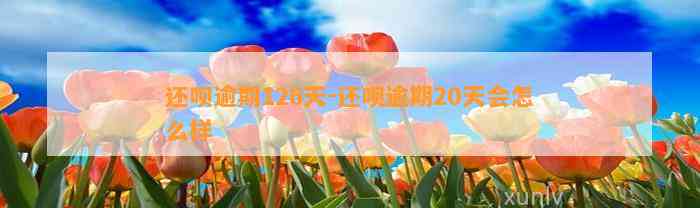 还呗逾期126天-还呗逾期20天会怎么样