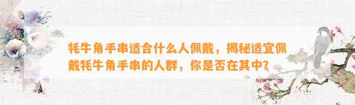 牦牛角手串适合什么人佩戴，揭秘适宜佩戴牦牛角手串的人群，你是不是在其中？