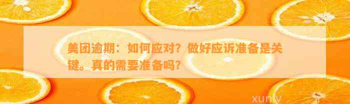 美团逾期：如何应对？做好应诉准备是关键。真的需要准备吗？