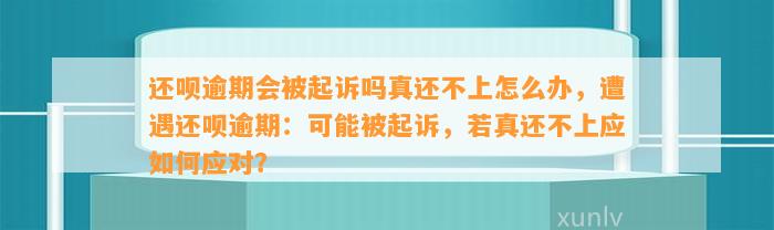 还呗逾期会被起诉吗真还不上怎么办，遭遇还呗逾期：可能被起诉，若真还不上应如何应对？