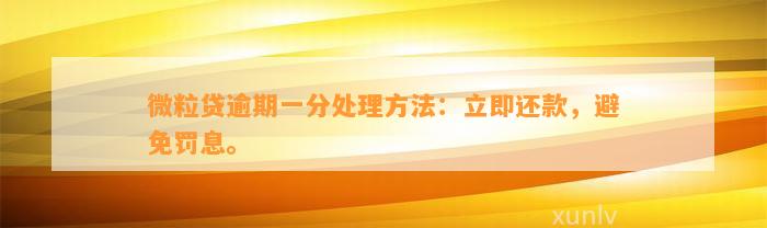 微粒贷逾期一分处理方法：立即还款，避免罚息。