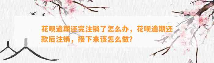 花呗逾期还完注销了怎么办，花呗逾期还款后注销，接下来该怎么做？