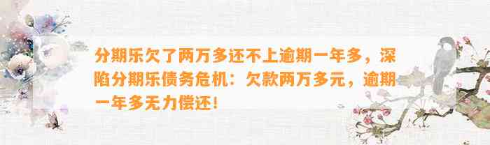 分期乐欠了两万多还不上逾期一年多，深陷分期乐债务危机：欠款两万多元，逾期一年多无力偿还！