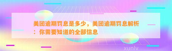 美团逾期罚息是多少，美团逾期罚息解析：你需要知道的全部信息