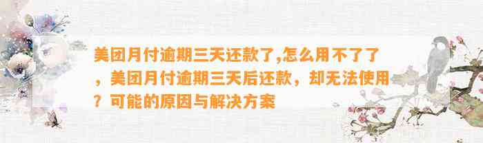 美团月付逾期三天还款了,怎么用不了了，美团月付逾期三天后还款，却无法使用？可能的原因与解决方案