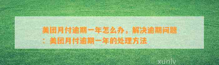 美团月付逾期一年怎么办，解决逾期问题：美团月付逾期一年的处理方法