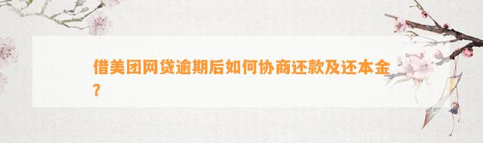 借美团网贷逾期后如何协商还款及还本金？