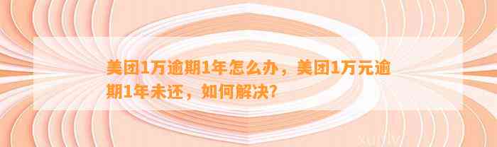 美团1万逾期1年怎么办，美团1万元逾期1年未还，如何解决？