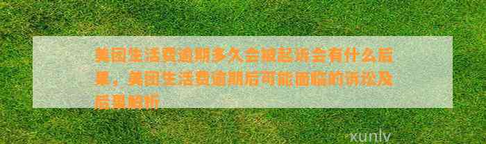 美团生活费逾期多久会被起诉会有什么后果，美团生活费逾期后可能面临的诉讼及后果解析