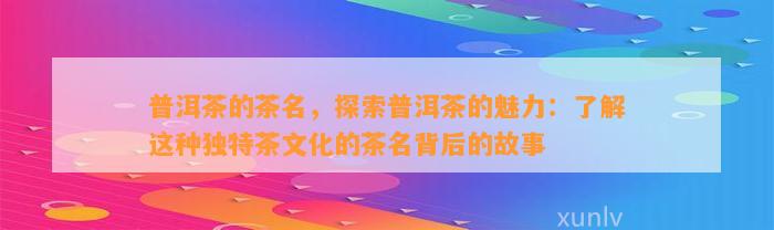 普洱茶的茶名，探索普洱茶的魅力：熟悉这类特别茶文化的茶名背后的故事