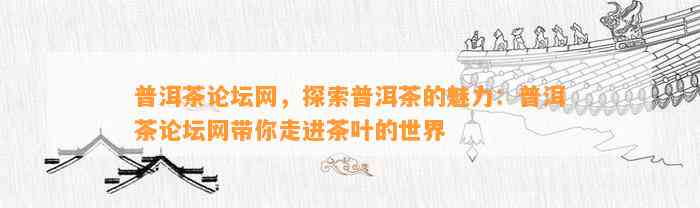 普洱茶论坛网，探索普洱茶的魅力：普洱茶论坛网带你走进茶叶的世界