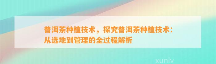 普洱茶种植技术，探究普洱茶种植技术：从选地到管理的全过程解析
