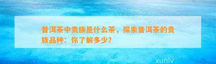 普洱茶中贵族是什么茶，探索普洱茶的贵族品种：你熟悉多少？