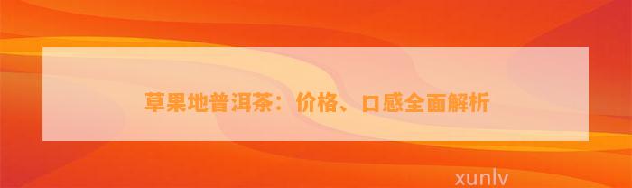 草果地普洱茶：价格、口感全面解析