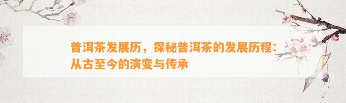 普洱茶发展历，探秘普洱茶的发展历程：从古至今的演变与传承