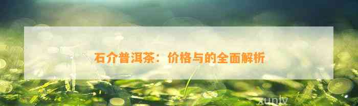 石介普洱茶：价格与的全面解析