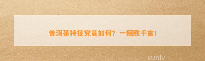 普洱茶特征究竟怎样？一图胜千言！