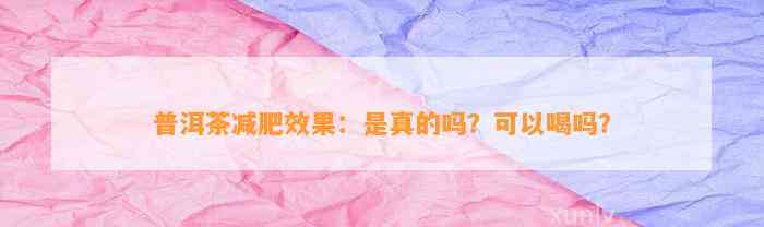 普洱茶减肥效果：是真的吗？可以喝吗？