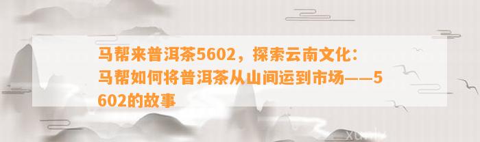 马帮来普洱茶5602，探索云南文化：马帮怎样将普洱茶从山间运到市场——5602的故事