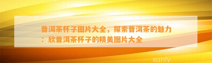 普洱茶杯子图片大全，探索普洱茶的魅力：欣普洱茶杯子的精美图片大全