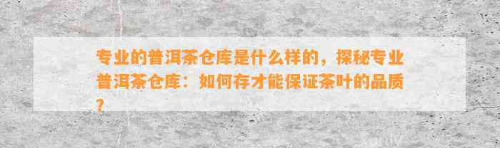 专业的普洱茶仓库是什么样的，探秘专业普洱茶仓库：怎样存才能保证茶叶的品质？