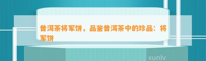 普洱茶将军饼，品鉴普洱茶中的珍品：将军饼