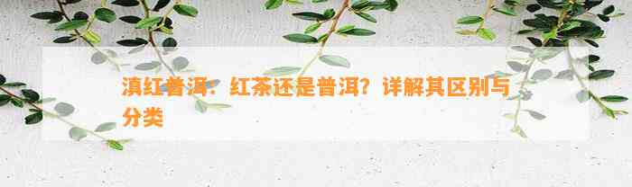 滇红普洱：红茶还是普洱？详解其区别与分类