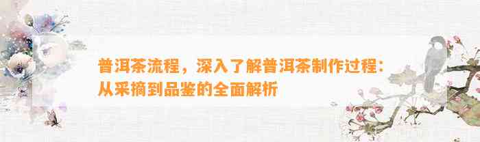 普洱茶流程，深入熟悉普洱茶制作过程：从采摘到品鉴的全面解析