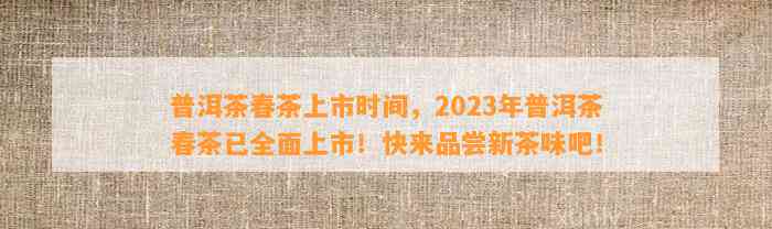 普洱茶春茶上市时间，2023年普洱茶春茶已全面上市！快来品尝新茶味吧！