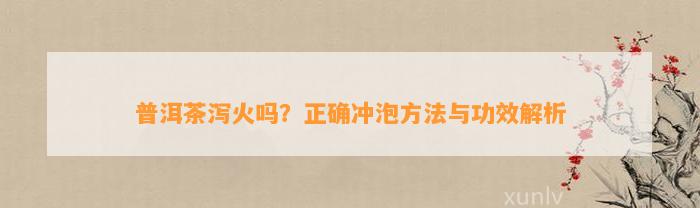 普洱茶泻火吗？正确冲泡方法与功效解析