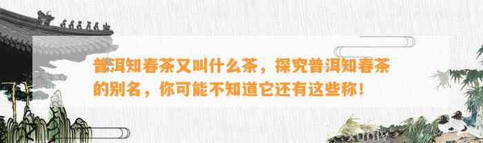 普洱知春茶又叫什么茶，探究普洱知春茶的别名，你可能不知道它还有这些称！