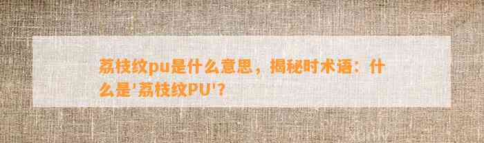 荔枝纹pu是什么意思，揭秘时术语：什么是'荔枝纹PU'？