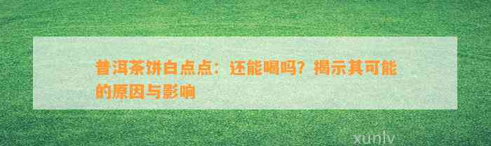 普洱茶饼白点点：还能喝吗？揭示其可能的起因与作用