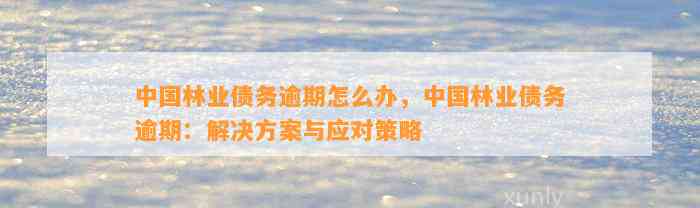 中国林业债务逾期怎么办，中国林业债务逾期：解决方案与应对策略