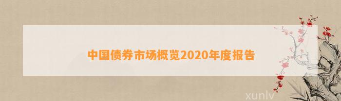 中国债券市场概览2020年度报告