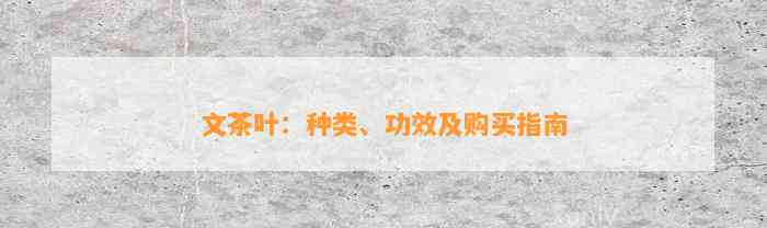 文茶叶：种类、功效及购买指南