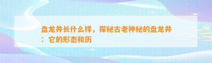 盘龙井长什么样，探秘古老神秘的盘龙井：它的形态和历