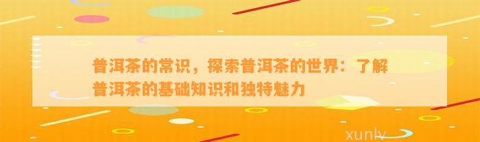 普洱茶的常识，探索普洱茶的世界：熟悉普洱茶的基础知识和特别魅力