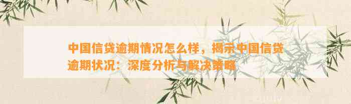 中国信贷逾期情况怎么样，揭示中国信贷逾期状况：深度分析与解决策略