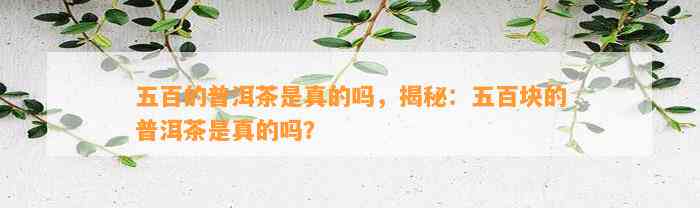 五百的普洱茶是真的吗，揭秘：五百块的普洱茶是真的吗？