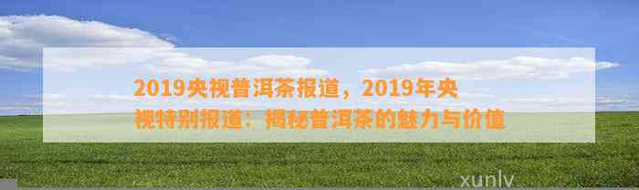 2019央视普洱茶报道，2019年央视特别报道：揭秘普洱茶的魅力与价值