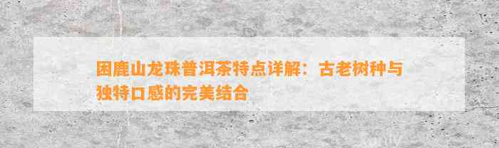 困鹿山龙珠普洱茶特点详解：古老树种与特别口感的完美结合