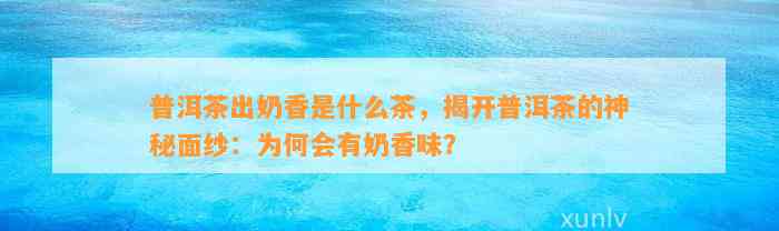 普洱茶出奶香是什么茶，揭开普洱茶的神秘面纱：为何会有奶香味？