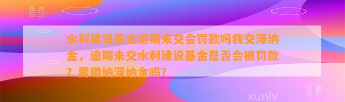 水利建设基金逾期未交会罚款吗我交滞纳金，逾期未交水利建设基金是否会被罚款？需缴纳滞纳金吗？