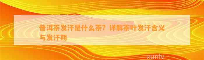 普洱茶发汗是什么茶？详解茶叶发汗含义与发汗期