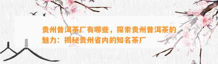 贵州普洱茶厂有哪些，探索贵州普洱茶的魅力：揭秘贵州省内的知名茶厂