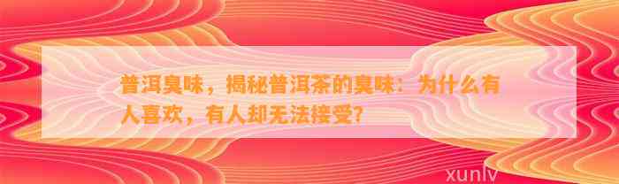 普洱臭味，揭秘普洱茶的臭味：为什么有人喜欢，有人却无法接受？