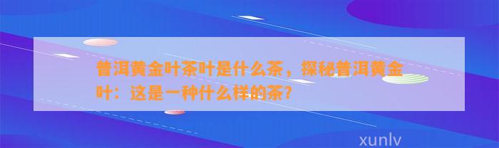 普洱黄金叶茶叶是什么茶，探秘普洱黄金叶：这是一种什么样的茶？