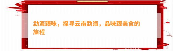 勐海臻味，探寻云南勐海，品味臻美食的旅程