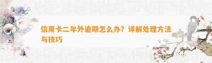 信用卡二年外逾期怎么办？详解处理方法与技巧